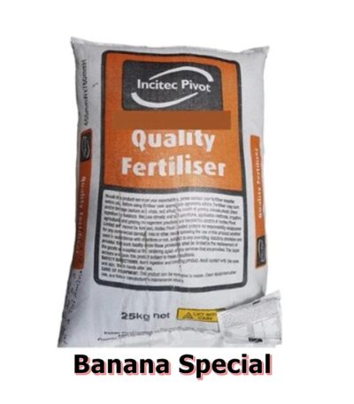 Banana Special
