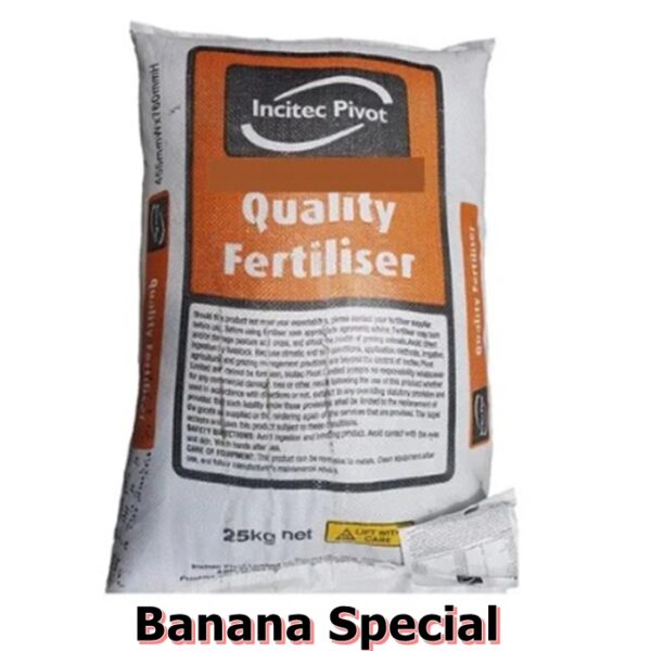 Banana Special
