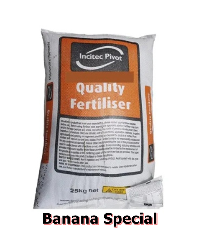 Banana Special Banana Special
