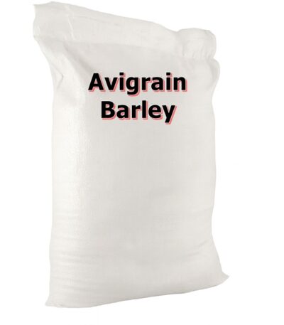 Barley