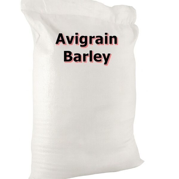 Barley