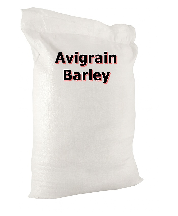 Barley