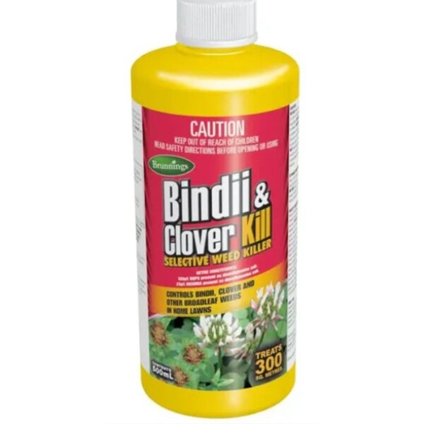 Bindii & Clover Kill