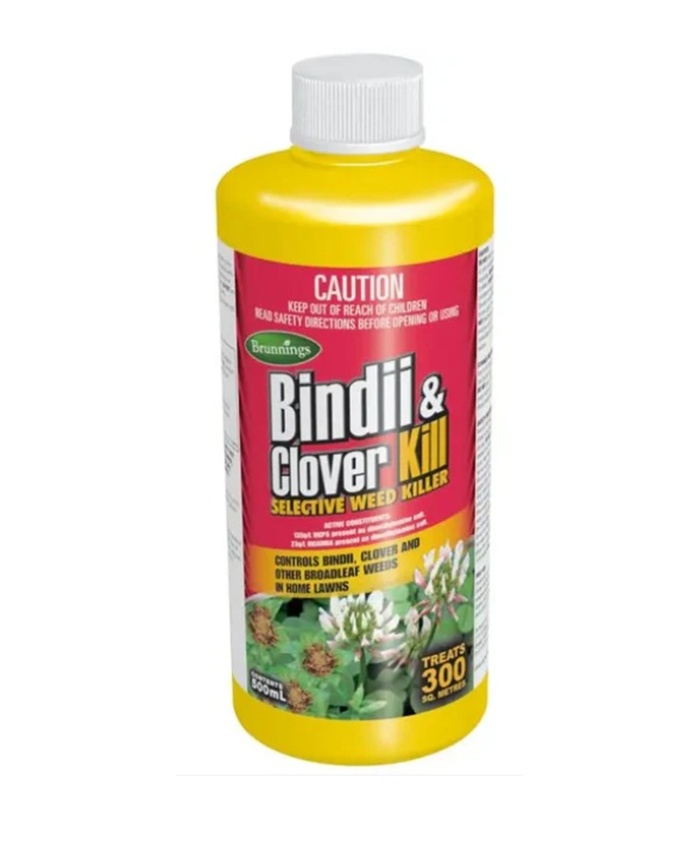 Bindii & Clover Kill