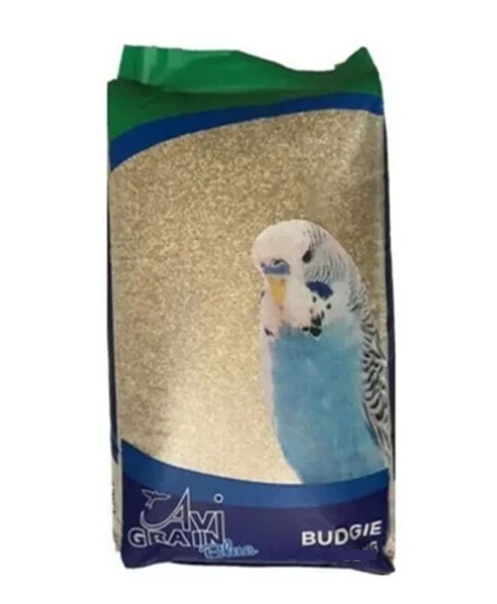 Budgie Blue