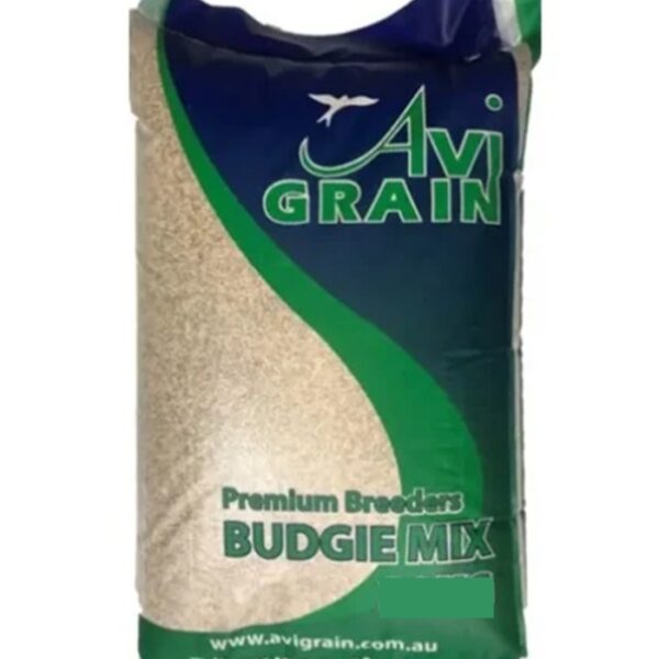 Budgie Mix