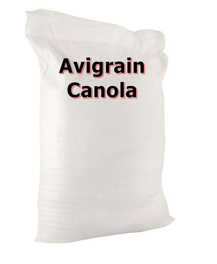 Canola