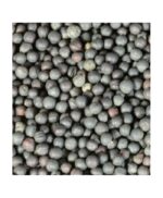 Avigrain Canola – Premium Quality Seed for Livestock, Poultry, and Wildlife 1kg- 20kg - Image 2