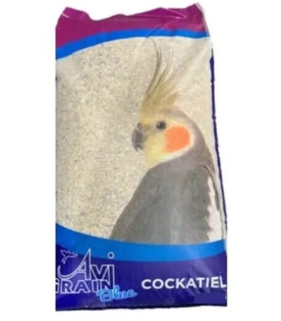 Cockatiel Blue
