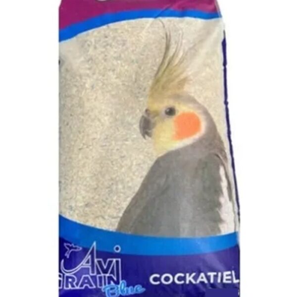 Cockatiel Blue