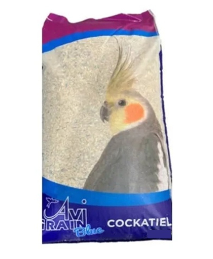 Cockatiel Blue