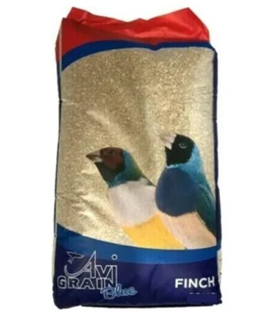 Avigrain Finch Blue