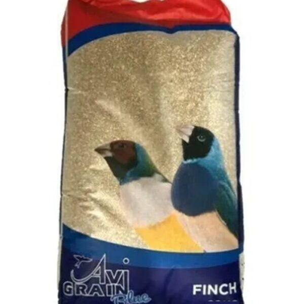 Avigrain Finch Blue
