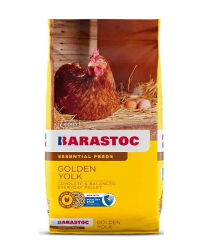 Golden yolk Golden yolk