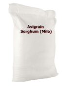 Sorghum
