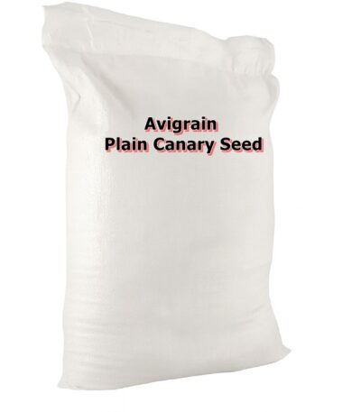 Canary Seed