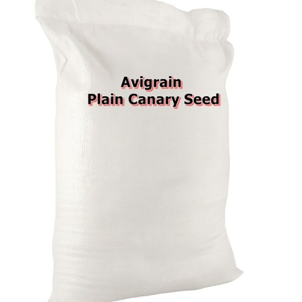 Canary Seed